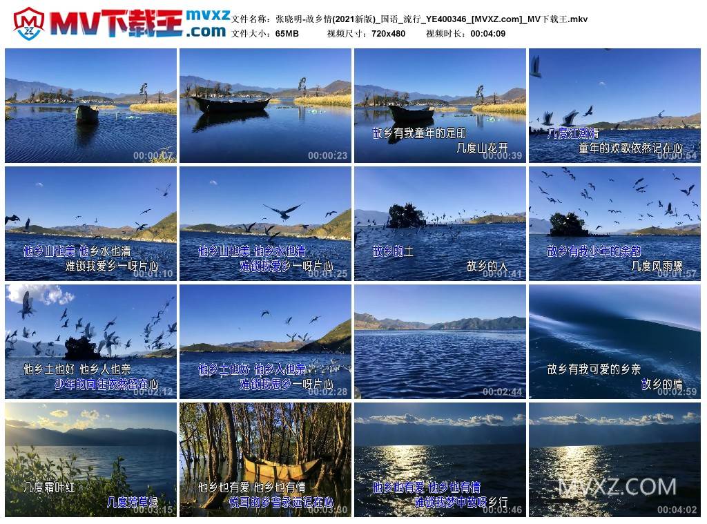 张晓明-故乡情(2021新版)_国语_流行_YE400346